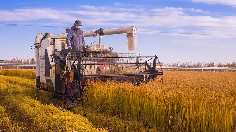 九游体育入口-加拿大运动员夺冠，喜获丰收受赞美的简单介绍
